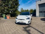 Tesla Model X 100D - - Tesla Model X von privat