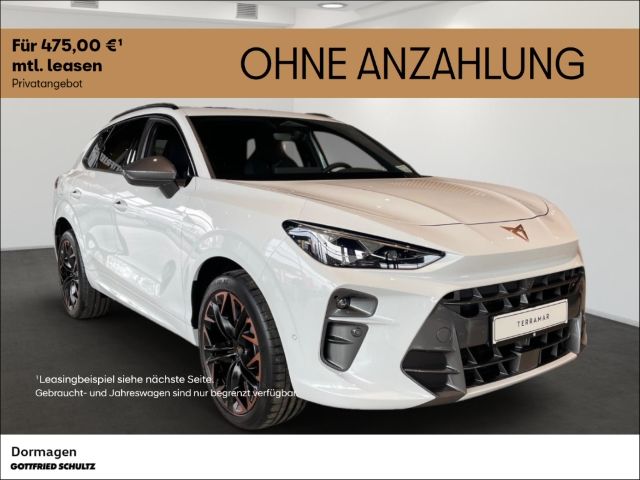 Terramar VZ 2.0 TSI MATRIX PANO KAMERA STANDHZ.