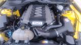 Ford Mustang 5.0 Ti-VCT V8 GT GT - Ford Gebrauchtwagen in Ingolstadt
