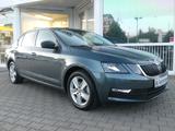 Skoda Octavia Lim. Ambition - Skoda Octavia Gebrauchtwagen in München