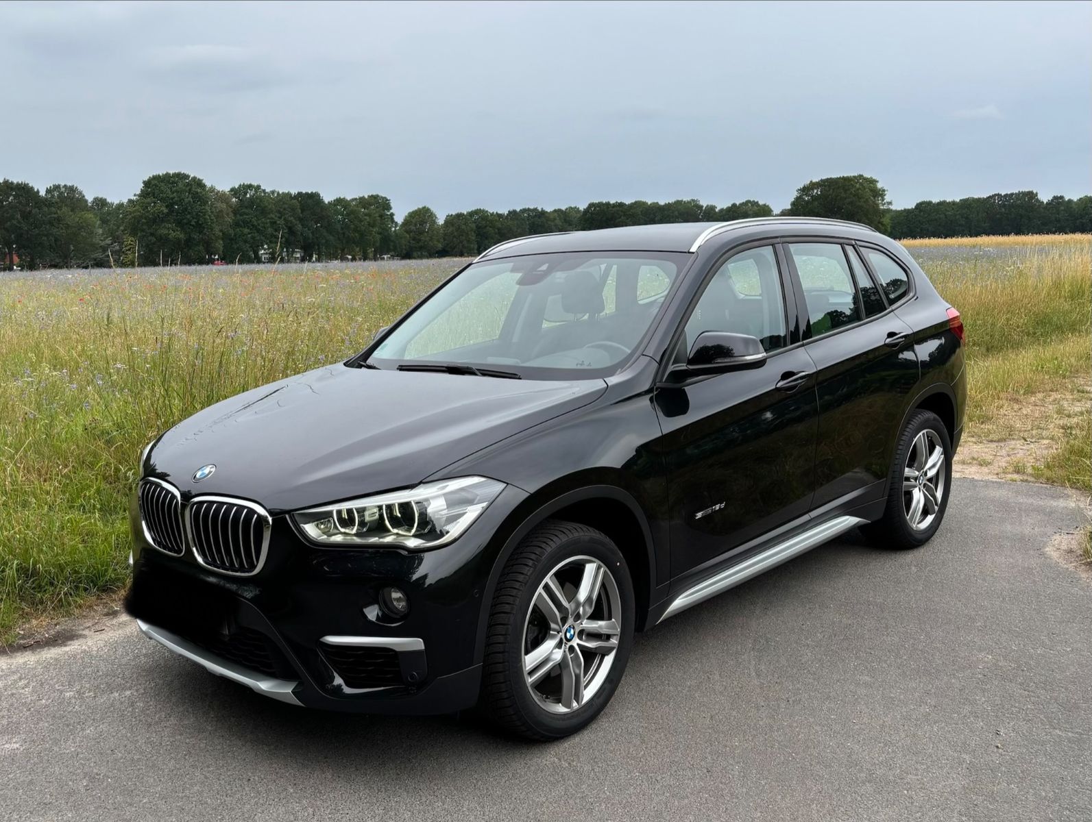 BMW X1 F48 sDrive18d xLine Automatik AHK Sportsitze 