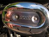 Harley-Davidson Sportster XL 1200 CB - HARLEY-DAVIDSON SPORTSTER 1200 C