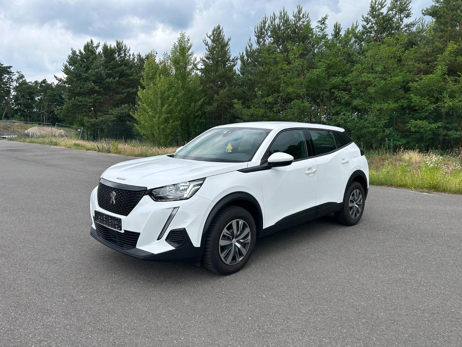 Peugeot 2008 PureTech 100 Active Pack/Kamera