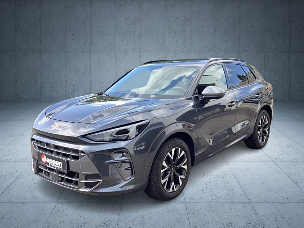 Image of Cupra Terramar