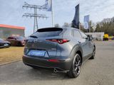Mazda CX-30 2.5 140PS AT Homura LED - Mazda CX-30 Tageszulassungen