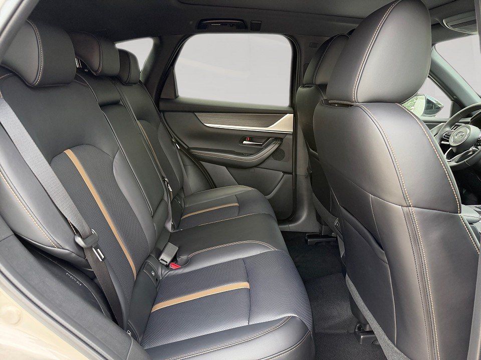 Fahrzeugabbildung Mazda CX-60 3.3d 254PS AWD Homura Plus BLOP