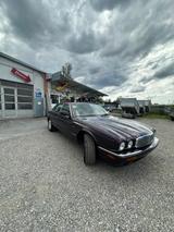 Jaguar xj8, Jaguar xj Sport, Jaguar xje, L... - gebrauchte Jaguar XJ8 aus dem Jahr 2000
