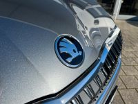 SKODA Octavia 1.5 TSI MHEV DSG Selection AHK 5J GAR bei Autohaus Landmann & Maier OHG