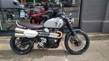 Triumph Scrambler 1200 X   Aktionspreis!!! - Offers