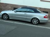 Mercedes-Benz Mercedes W209 CLK Cabrio 3,2 6 Zylinder - Mercedes-Benz: Cabrio, Clk W209