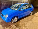Volkswagen Polo 1.2 47kW Klimaanlge, wenig Kilometer - Volkswagen Polo aus 2003: 1.4