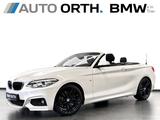 BMW 230i Cabrio AUT M-SPORT LEDER NAVI-P CAM AHK 18" - scheckheftgepflegte BMW 230