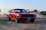 Ford Mustang*V8*Automatik*Servo*Scheibenbr.*Magnaflow - Ford Mustang aus 1968