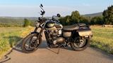 Triumph STREET SCRAMBLER 900 - 1. HAND - TRIUMPH STREET SCRAMBLER