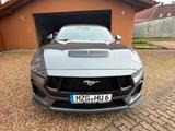 Ford Mustang 5.0 Ti-VCT V8 GT (WERKSGARANTIE) - Ford Mustang aus 2025