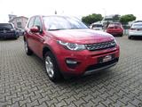 Land Rover Discovery Sport SE AWD Navi+Xenon+Euro 6d-TEMP - Land Rover: 6x6