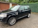 Land Rover Freelander 2 E TD4 - Land Rover Freelander Gebrauchtwagen
