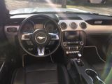 Ford Mustang 2.3 EcoBoost - - Ford Mustang in Frankfurt (Main)