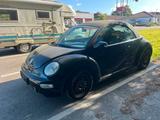 Volkswagen Beetle  - Volkswagen Beetle in Hannover