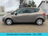 Opel Meriva B 1.4 Design Edition Einparkhilf*Wenig KM - Opel Meriva: Design Edition