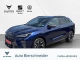 Cupra Terramar 1.5 eTSI DSG TOP VIEW  NAVI HUD DRIVE | - Cupra Terramar Jahreswagen