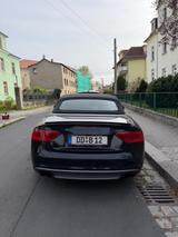 Audi S5 3.0 TFSI S tronic quattro Cabriolet - - Audi S5: Cabrio