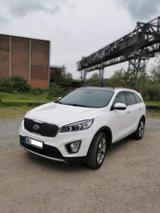 Kia Sorento 2.2 CRDi AWD Platinum Edition Automa... - Kia Sorento in Duisburg