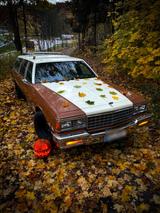 Chevrolet Caprice Classic 5.0 Tausch - Chevrolet Caprice Gebrauchtwagen