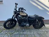 Harley-Davidson Sportster XL 883 N Iron - gebrauchte Motorräder in Kassel