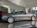 BMW 420 i Cabrio Szhzg Bi Xenon PDC - BMW 420 aus 2015