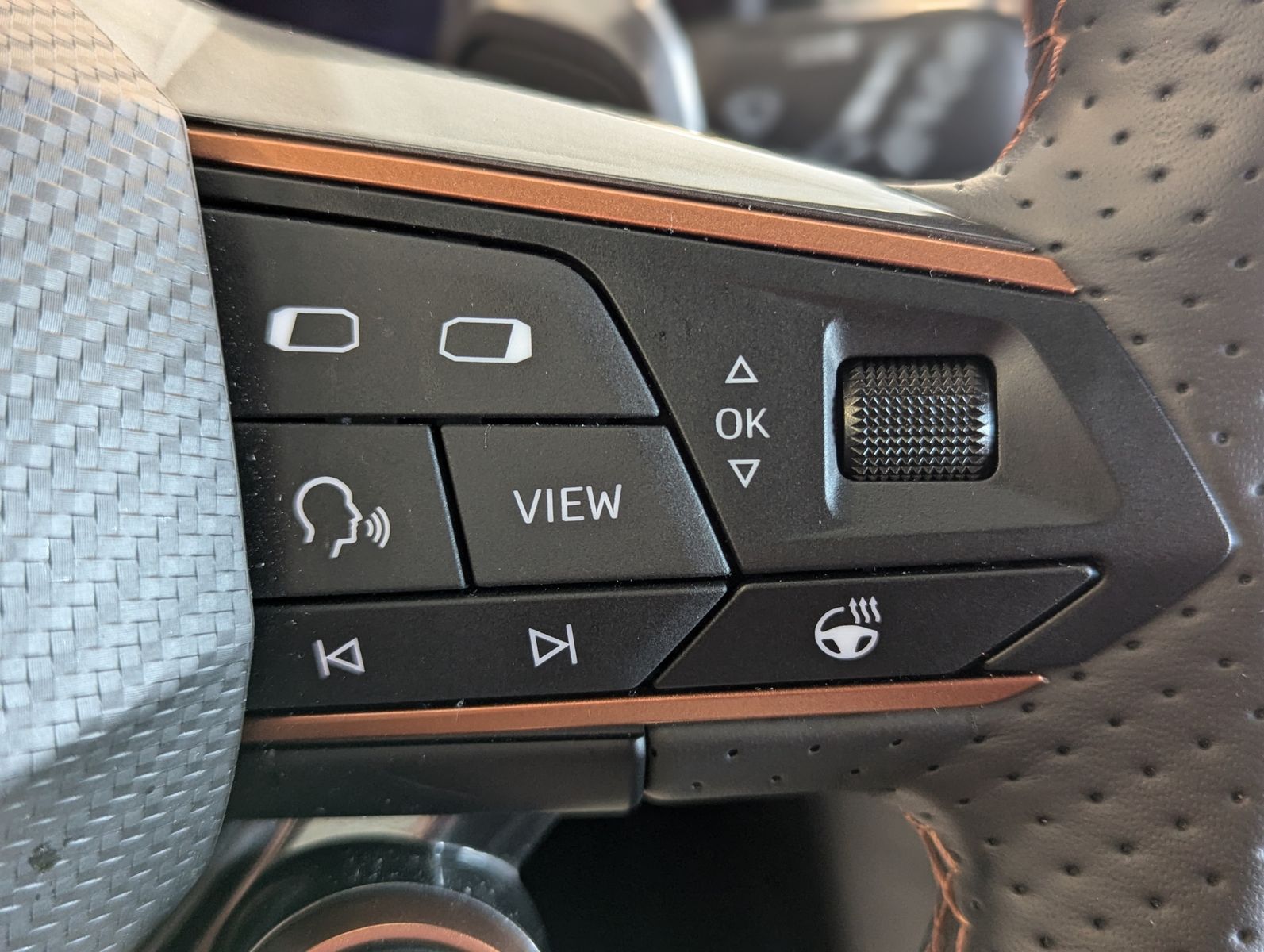 Fahrzeugabbildung CUPRA Leon 2.0 TSI VZ 4Drive Vision+ Matrix Pano ACC