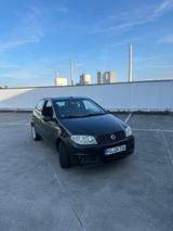 Fiat Punto 1.2 8V Trofeo Trofeo - Fiat Punto in Ludwigshafen
