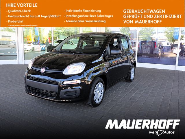 Image of Fiat Panda
