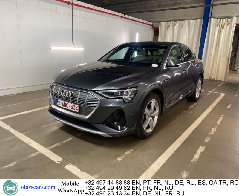 Audi e-tron 50 Quattro S-Line Aut. Virtual Led-Xenon