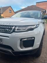 Andere Range Rover Evoque Sport - Andere in Hannover