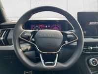 Skoda Kodiaq - Vorschau Bild 15