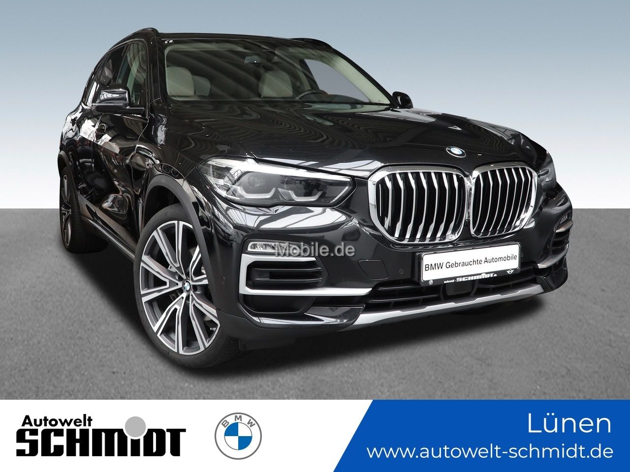 BMW X5 xDrive40i xLine HeadUp Standhz DAB GARANTIE