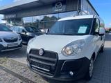 Fiat Doblò  Cargo / Pritsche SX Maxi Kasten - Fiat Doblo: Pritsche