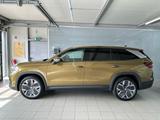 Skoda Kodiaq 2.0 TDI 4x4 Selection Pano Sitzluft Stand - : Gold, TDI