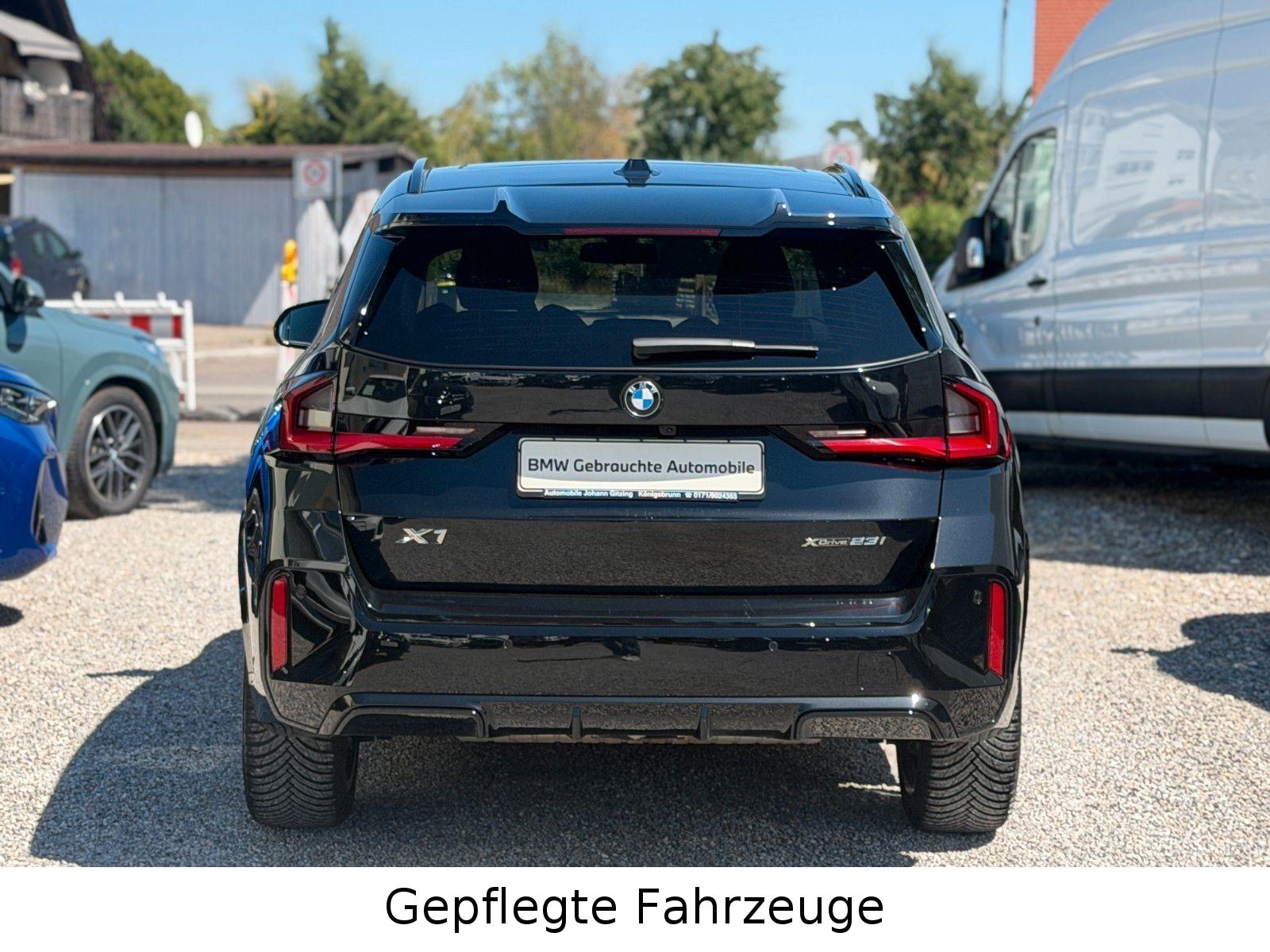BMW X1 sDrive20i M Sport Pro 19"Shadow 360° Pano HuD, миниатюра 11