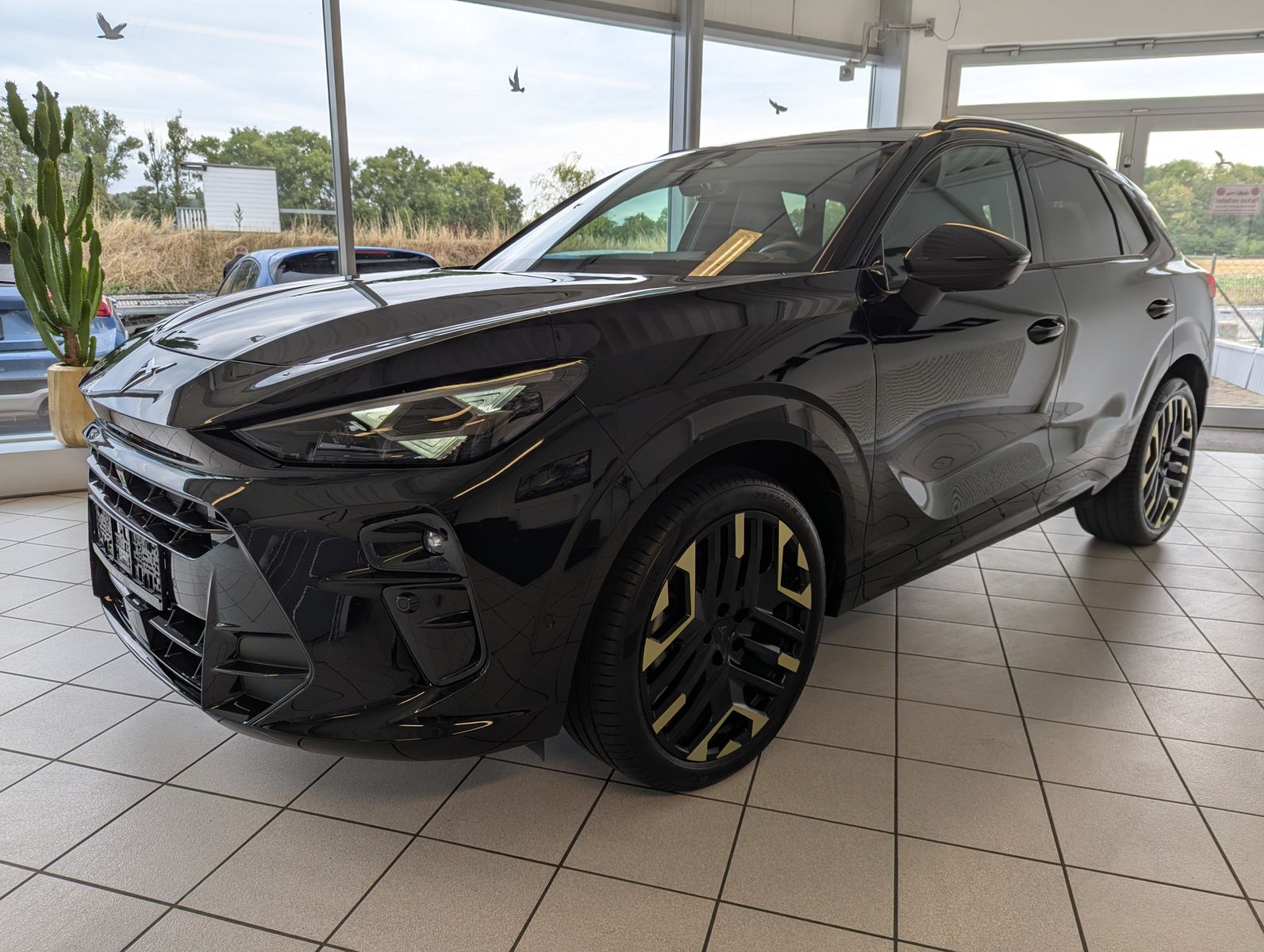 Fahrzeugabbildung CUPRA Terramar 1.5 eTSI Tribe Sennh Matrix HUD AHK 20