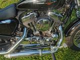 Harley-Davidson Sportster XL 1200C - Angebote