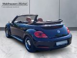 Volkswagen Beetle Cabriolet 1.2 TSI Cup BMT*PDC*WS*APP*NAVI - Volkswagen Beetle: Schwarz