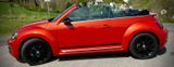 Volkswagen Beetle 1.2 BMT, DSG, CLUB Cabrio | Traumzustand! - Volkswagen Beetle aus 2015