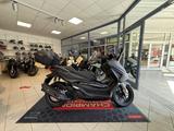 Honda Forza 125 (2025er Modell inkl. 6 Jahre Garantie) - Honda Motorräder in Magdeburg