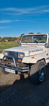 Jeep jeep wranglerAMC 304 V8 4,9l - Jeep Wrangler mit Benzin-Antrieb: Geländewagen, 3.8
