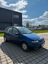 Fiat Punto 1.2/TOP/TÜV - Fiat Punto aus 2000