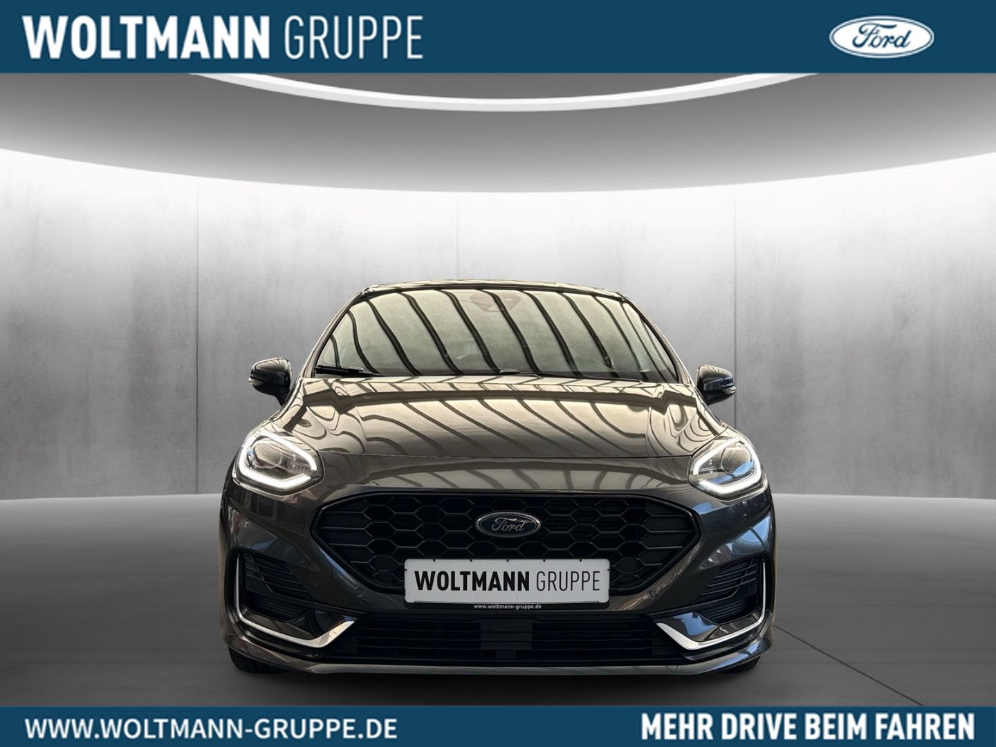 Fahrzeugabbildung Ford Fiesta ST-Line Vignale 1.0 Mild-Hybrid 114 KW B&