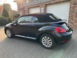 Volkswagen Beetle 1.4 TSI Design Cabriolet Design - Volkswagen Beetle: Schwarz