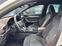 Cupra 